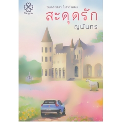 สะดุดรัก