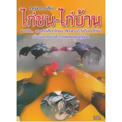 เทคนิคการเลี้ยง ไก่ชน-ไก่บ้าน