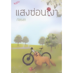 แสงซ่อนเงา