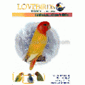 เลิฟเบิร์ด...จ้าวแห่งสีสัน : Love Birds Exotic 