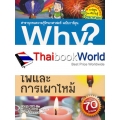 Why? ไฟและการเผาไหม้ (ฉบับการ์ตูน)