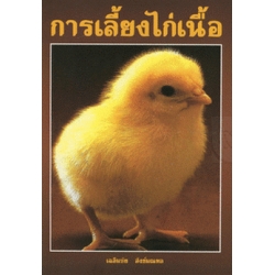 การเลี้ยงไก่เนื้อ